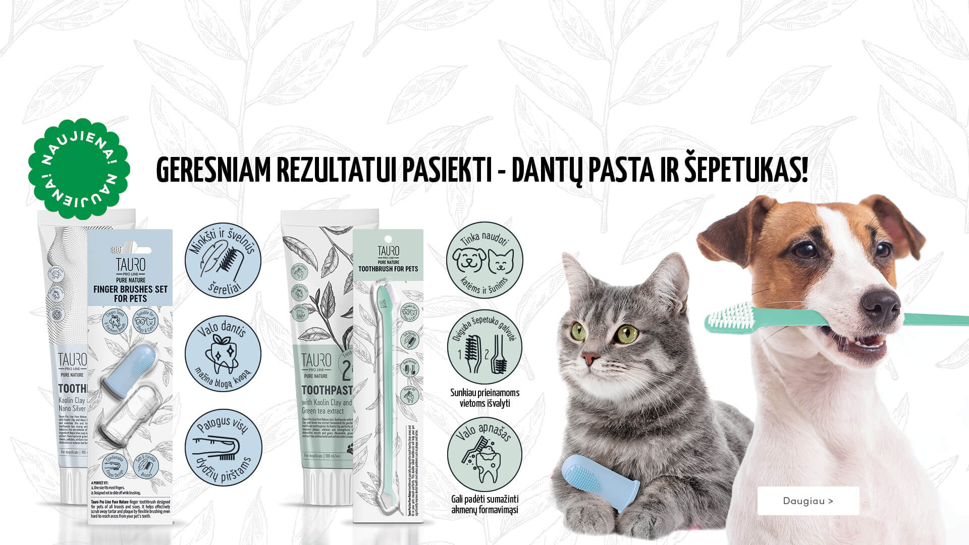 KIKA - TPL pasta ir šepetėliai