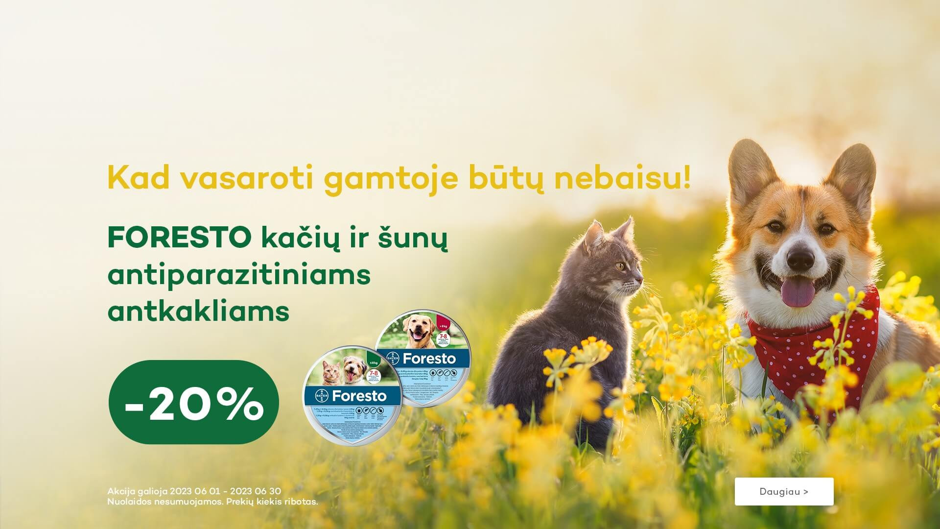 KIKA - Foresto akcija -20