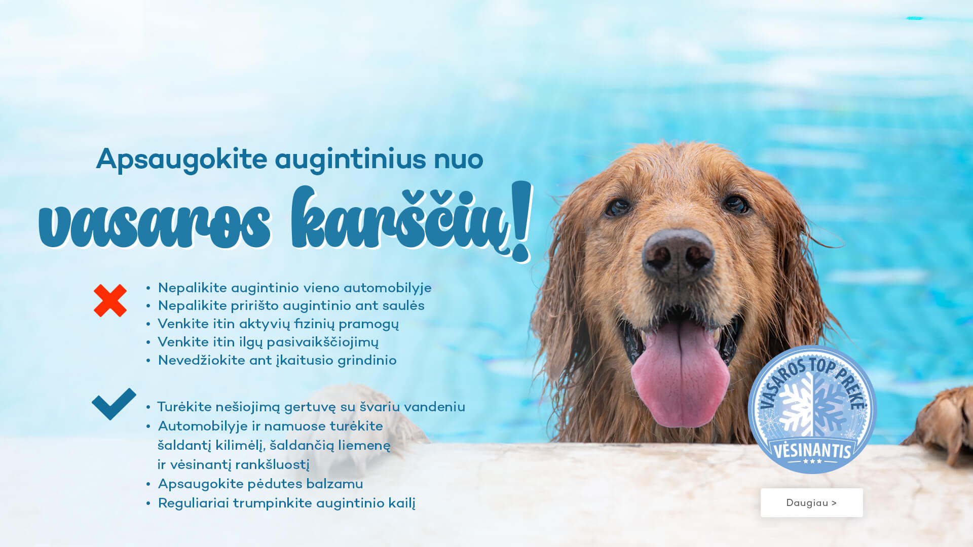 KIKA - vasaros karščiai