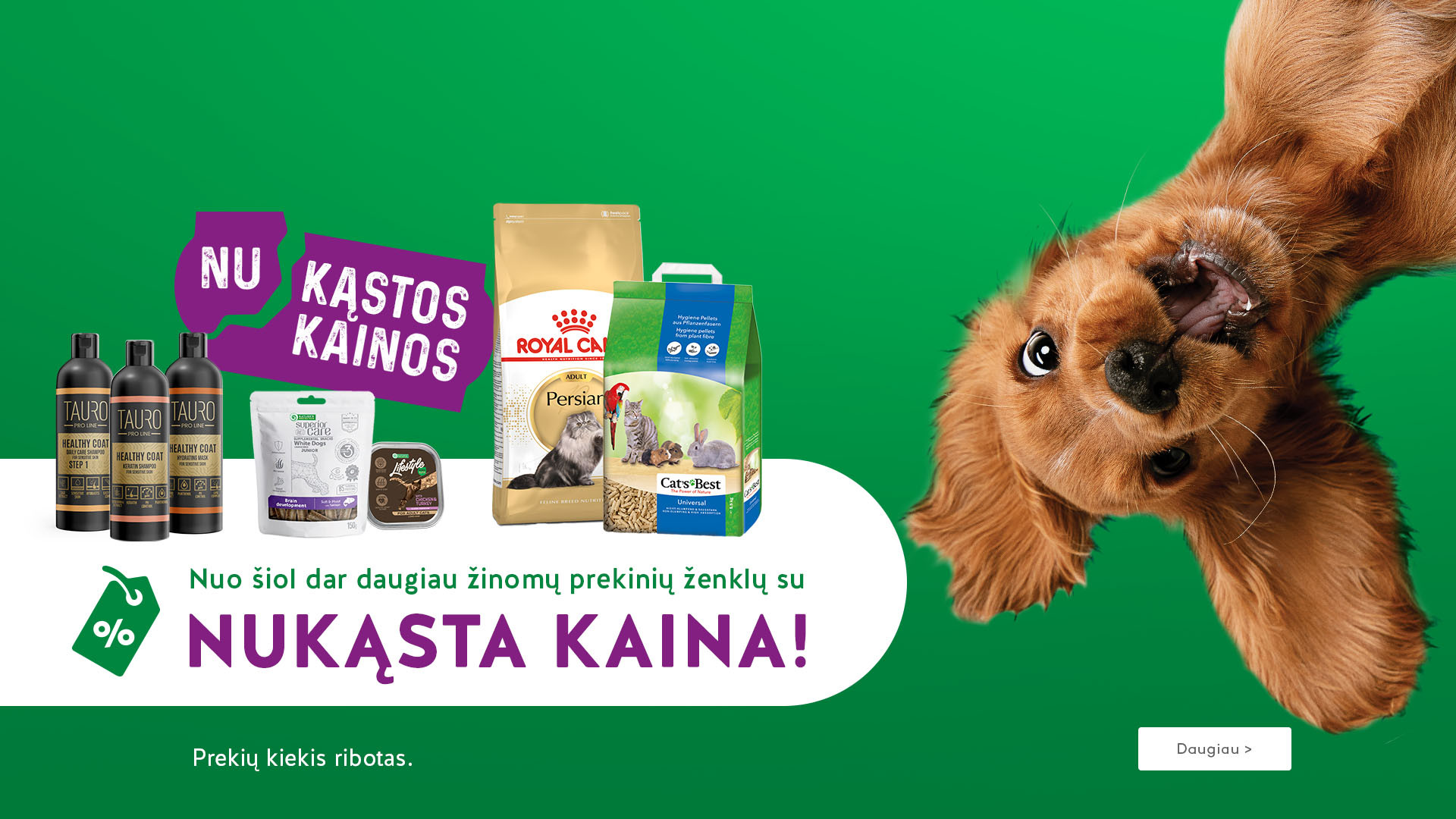 KIKA - Nukąstos kainos