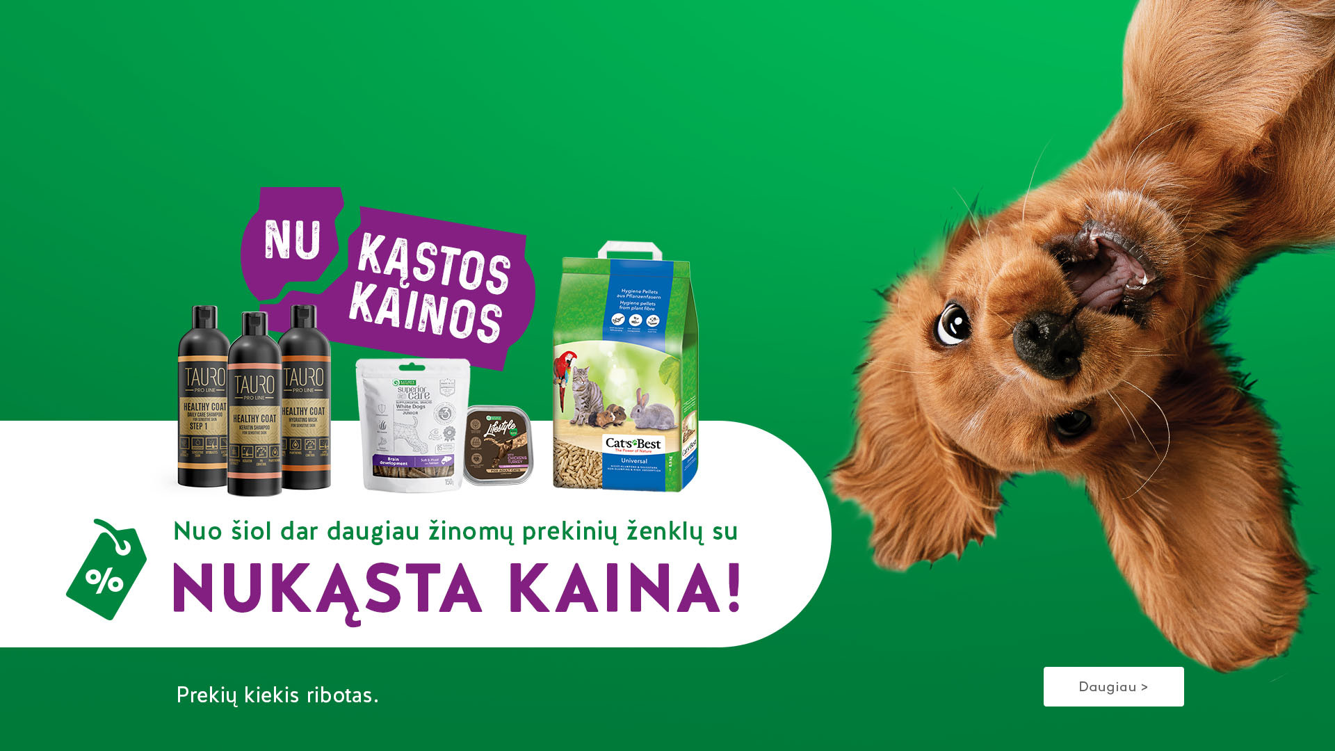 KIKA - Nukąstos kainos