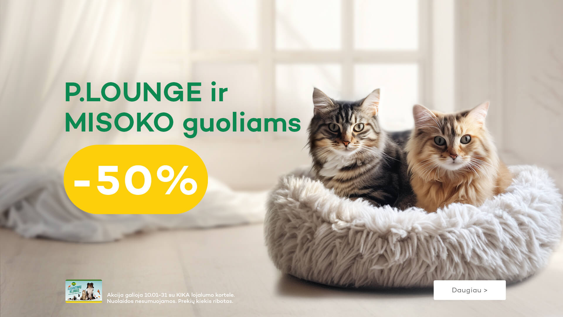 KIKA - P.Lounge ir Misoko guoliai