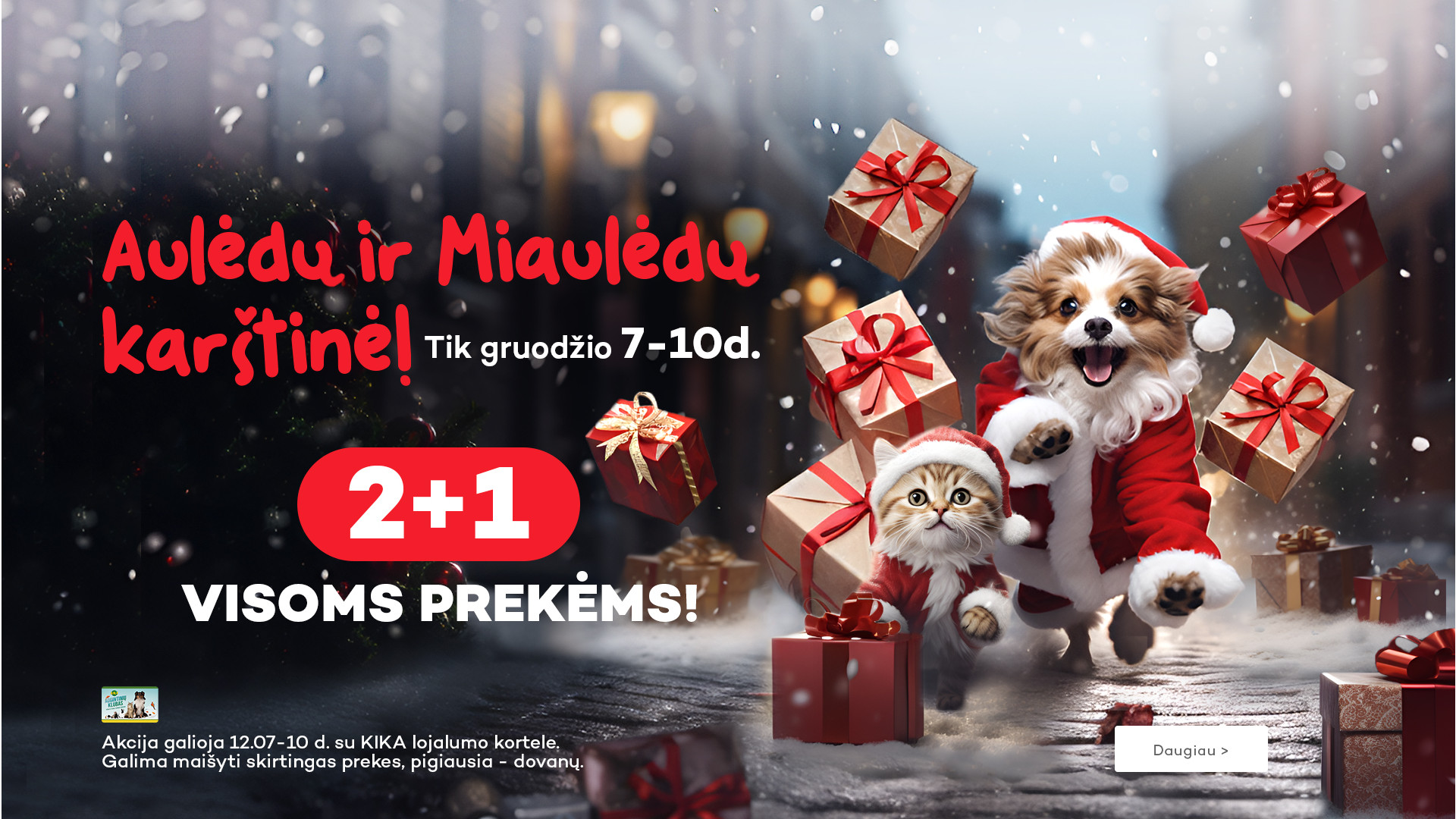 2+1 visoms prekėms!