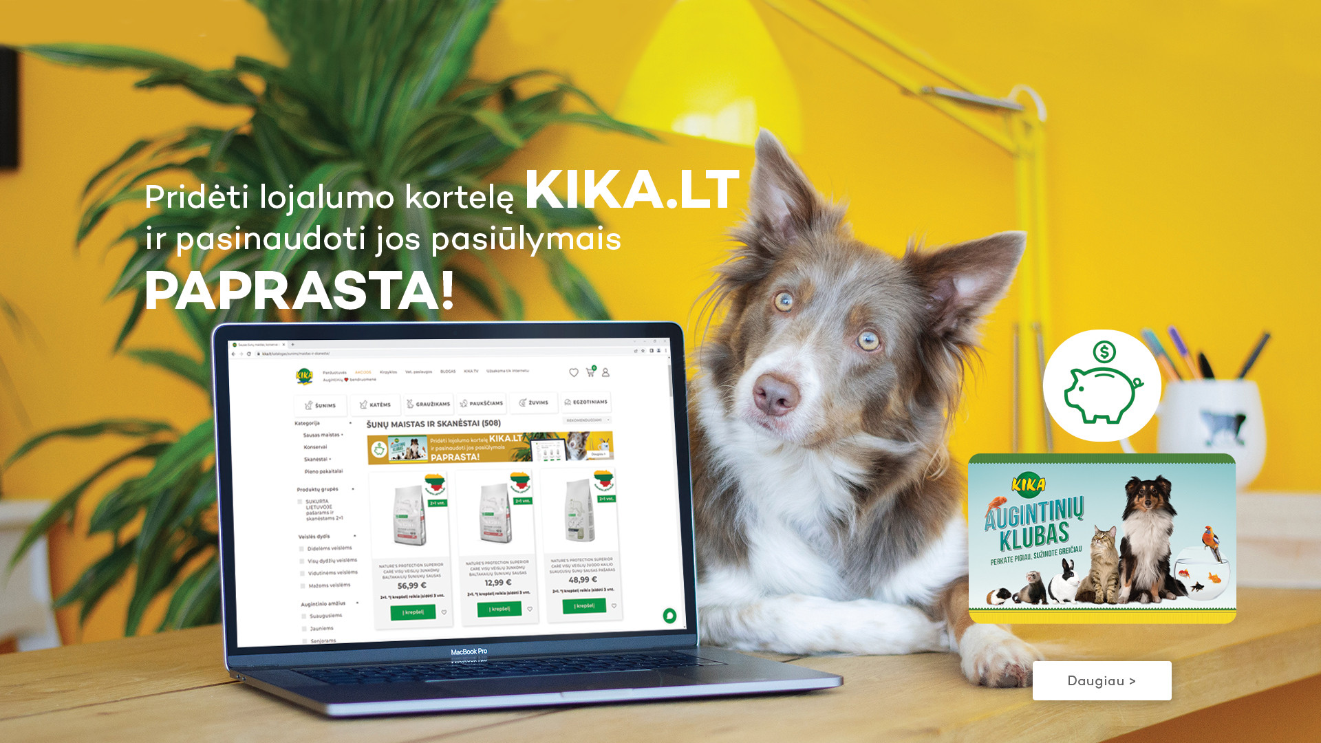 KIKA - Lojalumo kortelė