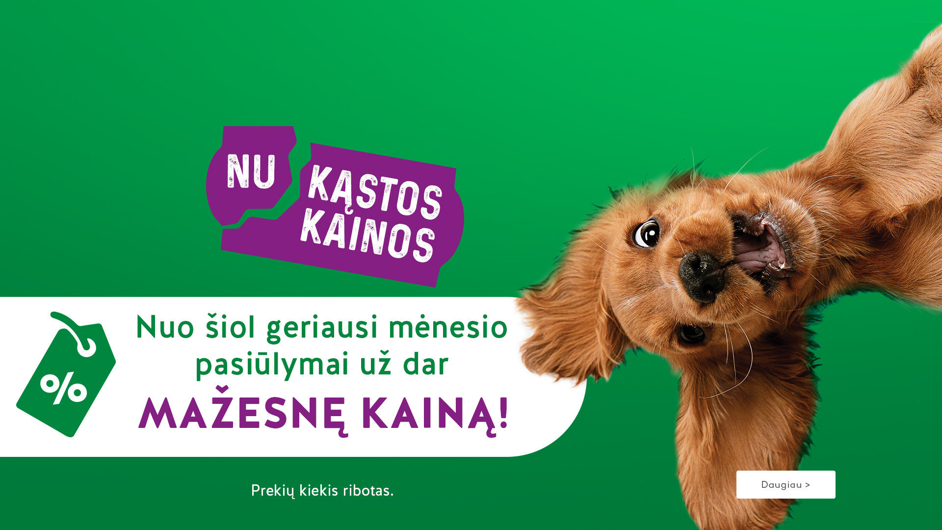 KIKA - Nukąstos kainos
