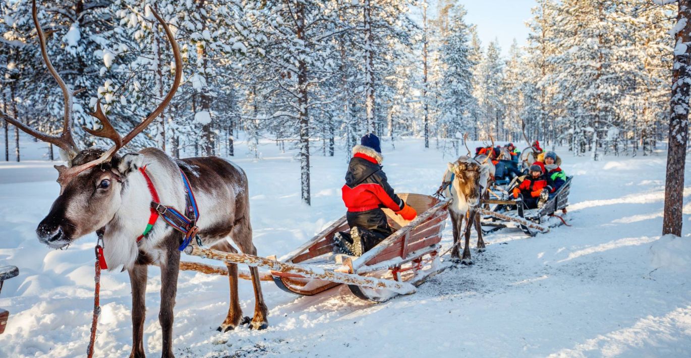 Išskirtinė galimybė gyvūnų mylėtojams: KIKA dovanoja net 3 kelialapius į Laplandiją