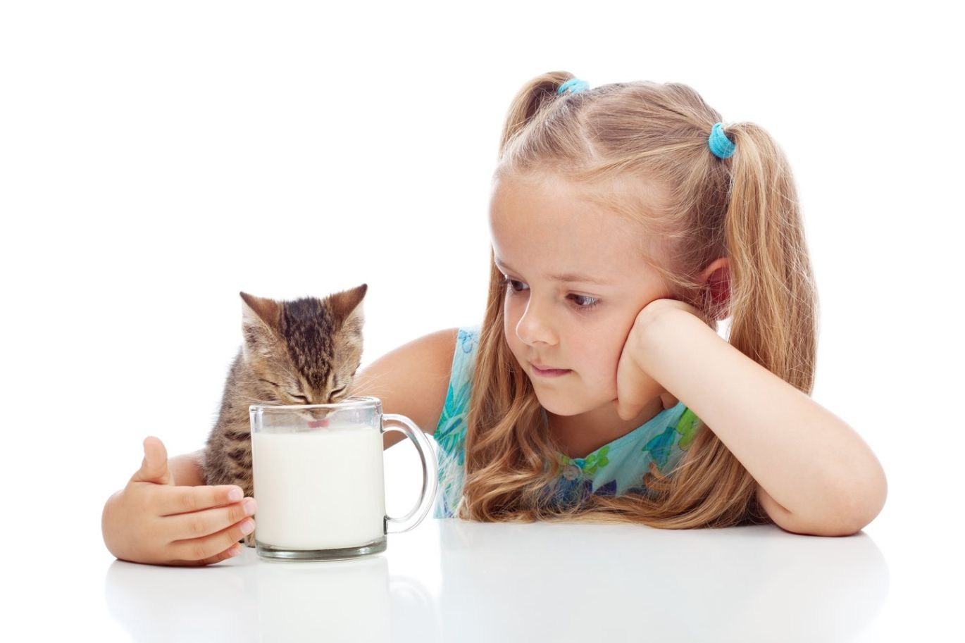 Ar reikia katėms duoti pieno?