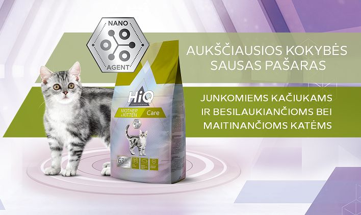 Kaip išsirinkti geriausią pašarą kačiukams ir jų mamoms?