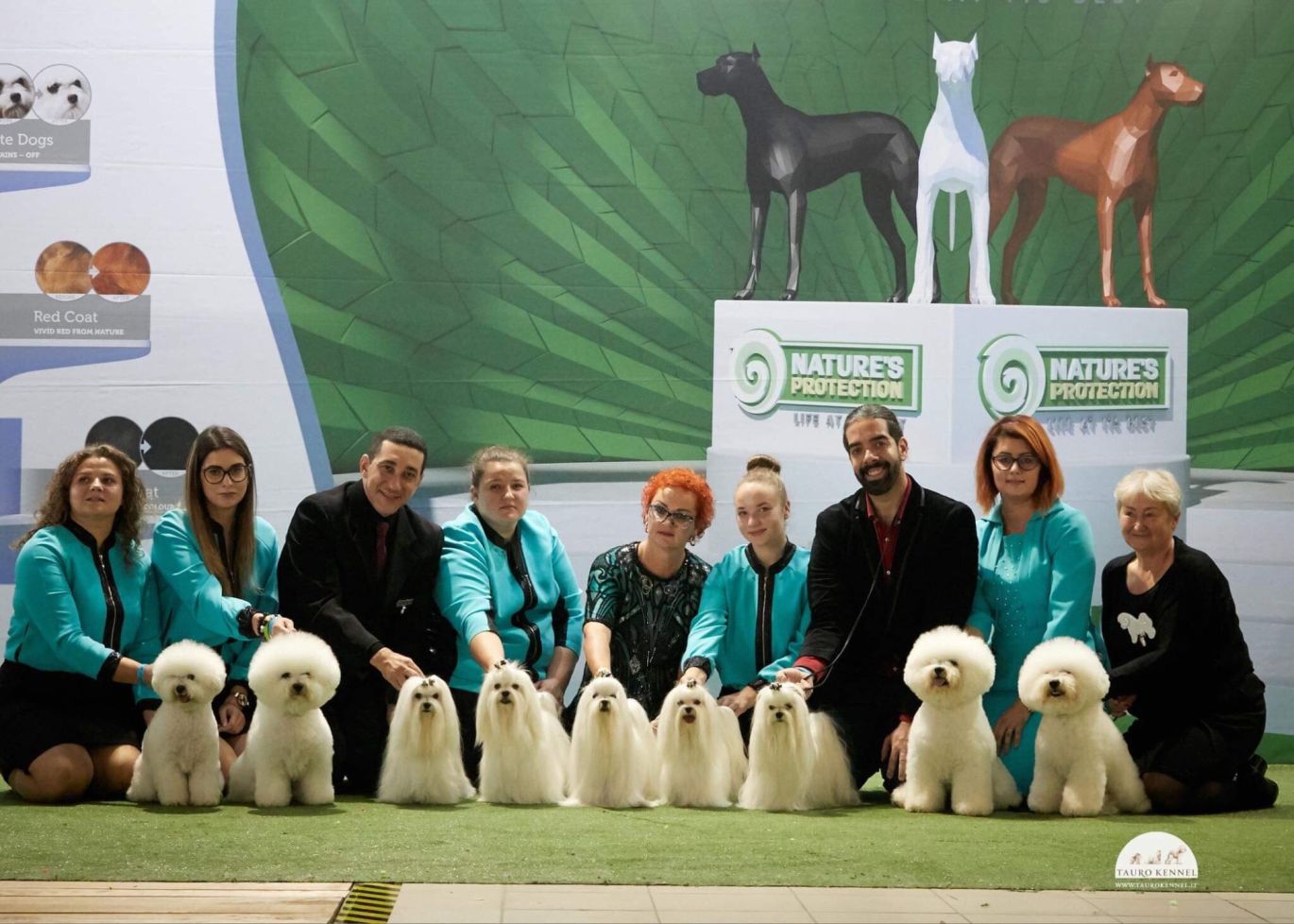 Europos šunų parodoje – 3 čempionai iš Lietuvos