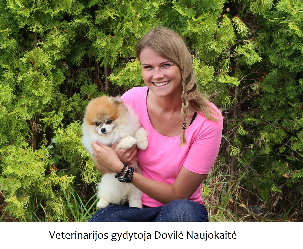 Veterinarijos gydytojos patarimai, kaip apsaugoti augintinį nuo erkių