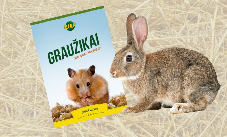 Graužikai. Kurį auginti norėtum tu?