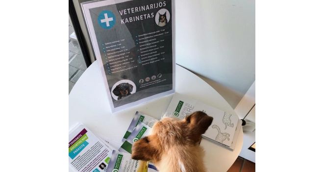 Kviečiame apsilankyti naujame KIKA veterinarijos kabinete!
