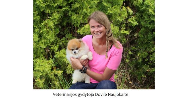 Veterinarijos gydytojos patarimai, kaip apsaugoti augintinį nuo erkių