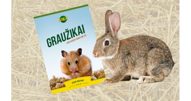 Graužikai. Kurį auginti norėtum tu?