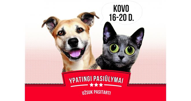 AU-MIAU dienos jau čia – visoms prekėms iki -30%