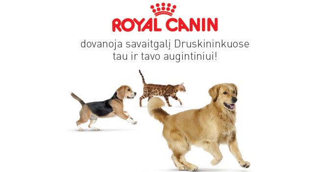 Laimėkite savaitgalį Druskininkuose su augintiniu!