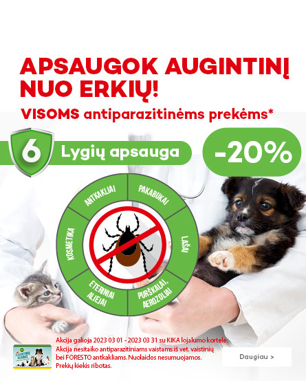 KIKA - 6 lygių apsauga