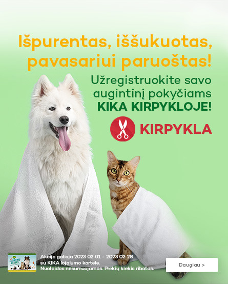 KIKA - Kirpyklos