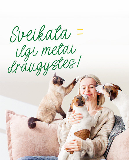 KIKA - Sveikatos mėnesis