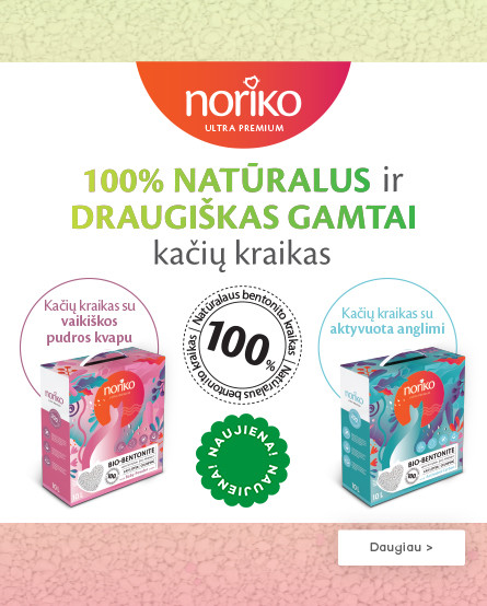 KIKA - Noriko kraikas