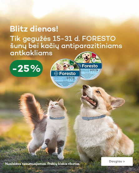KIKA - Foresto blitz 05.15-31