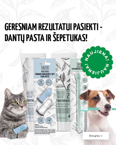 KIKA - TPL pasta ir šepetėliai