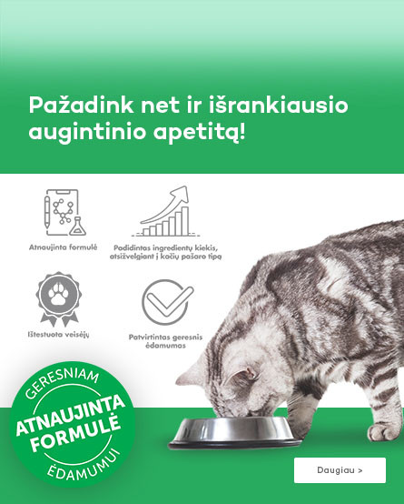 KIKA - kačių ėdamumo formulė