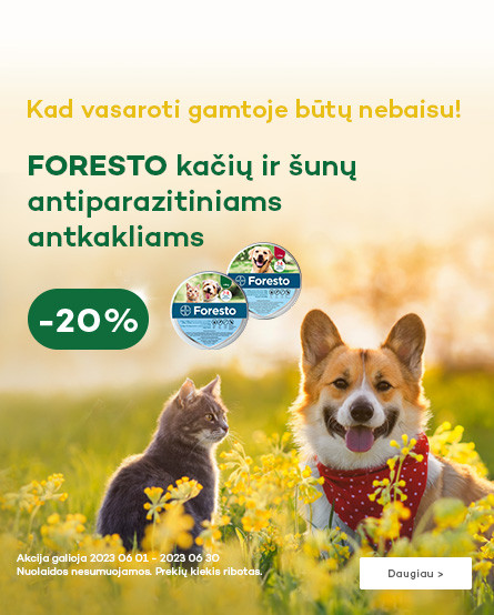 KIKA - Foresto akcija -20
