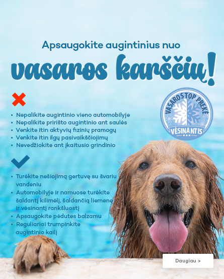 KIKA - vasaros karščiai