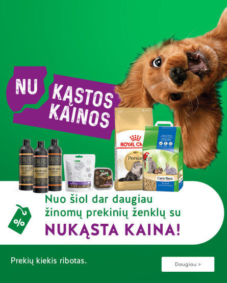 KIKA - Nukąstos kainos