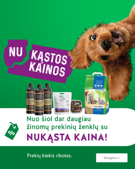 KIKA - Nukąstos kainos