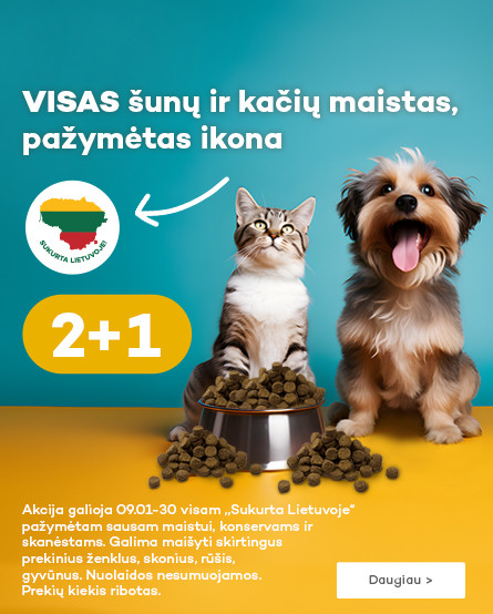 KIKA - 2+1 maistas