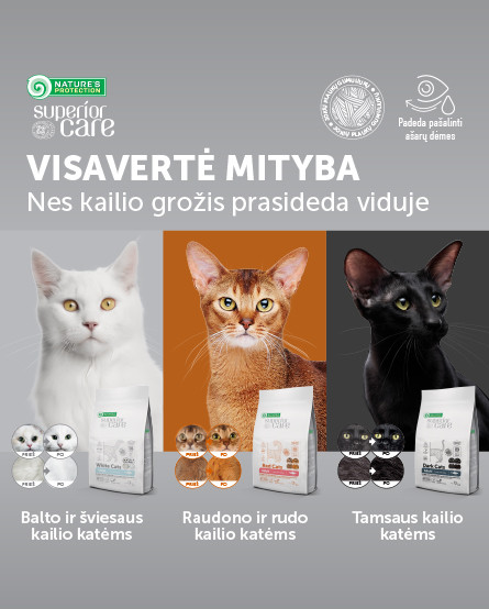 KIKA - naujas kačių pašaras