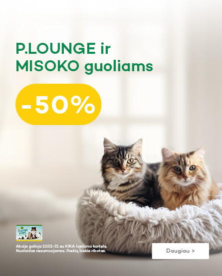 KIKA - P.Lounge ir Misoko guoliai