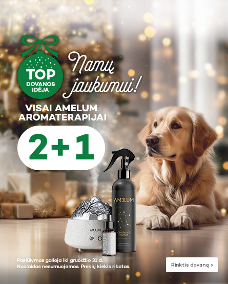 Amelum 2+1
