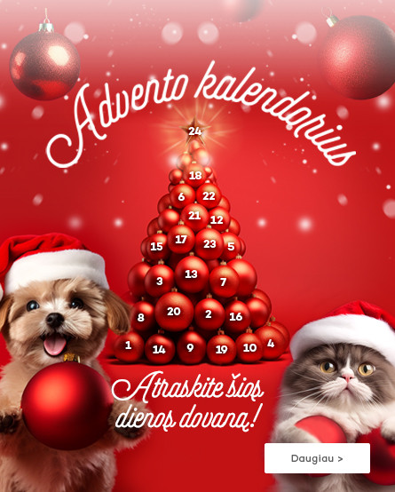 ADVENTO KALENDORIUS 2023
