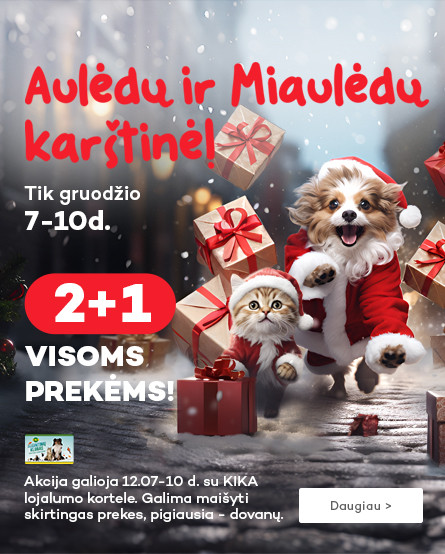 2+1 visoms prekėms!