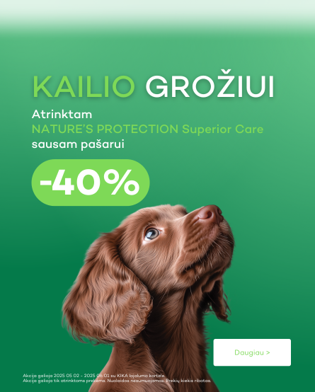 Groziui