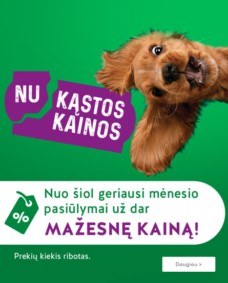 KIKA - Nukąstos kainos