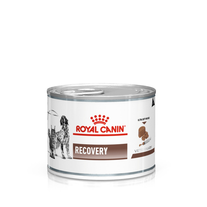 ROYAL CANIN VD Cat/Dog Recovery kačių ir šunų konservuotas pašaras 