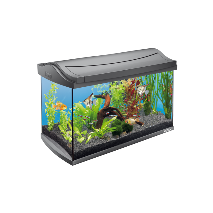 TETRA AquaArt Akvariumas su įranga 