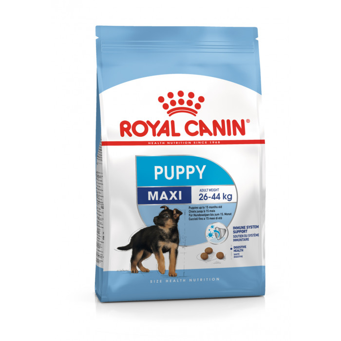 ROYAL CANIN didelių veislių jaunų šunų sausas pašaras   