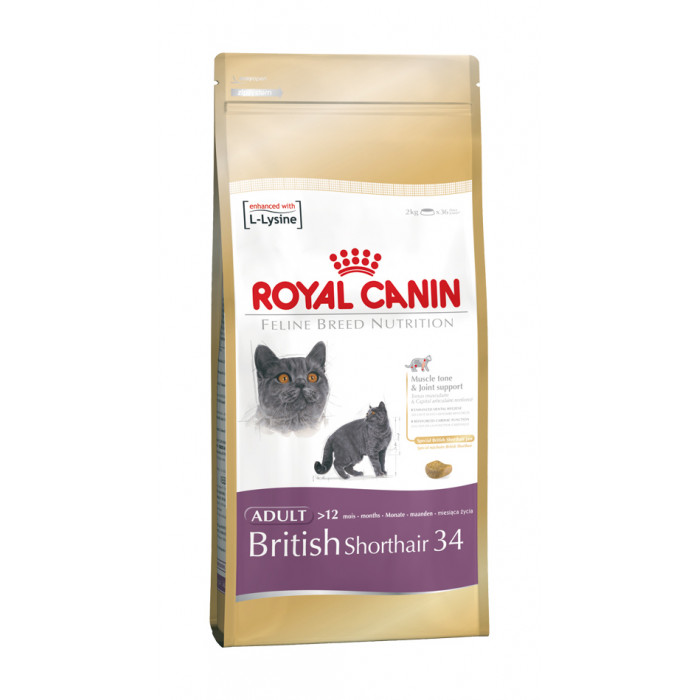 ROYAL CANIN Britų trumpaplaukių veislės suaugusių kačių sausas pašaras 