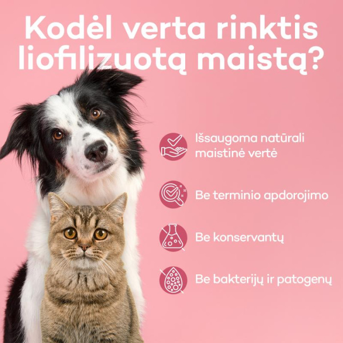 RANOVA Wafle kačių pašaro papildas - skanėstai, liofilizuotas, vaflių formos, įvairių skonių 