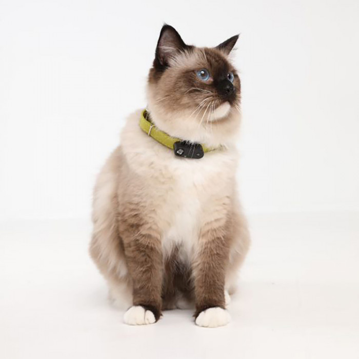 TICKLESS CAT Ultragarsinis pakabukas nuo erkių ir blusų katėms 