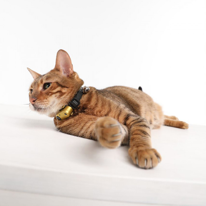 TICKLESS CAT Ultragarsinis kačių pakabukas nuo erkių ir blusų  