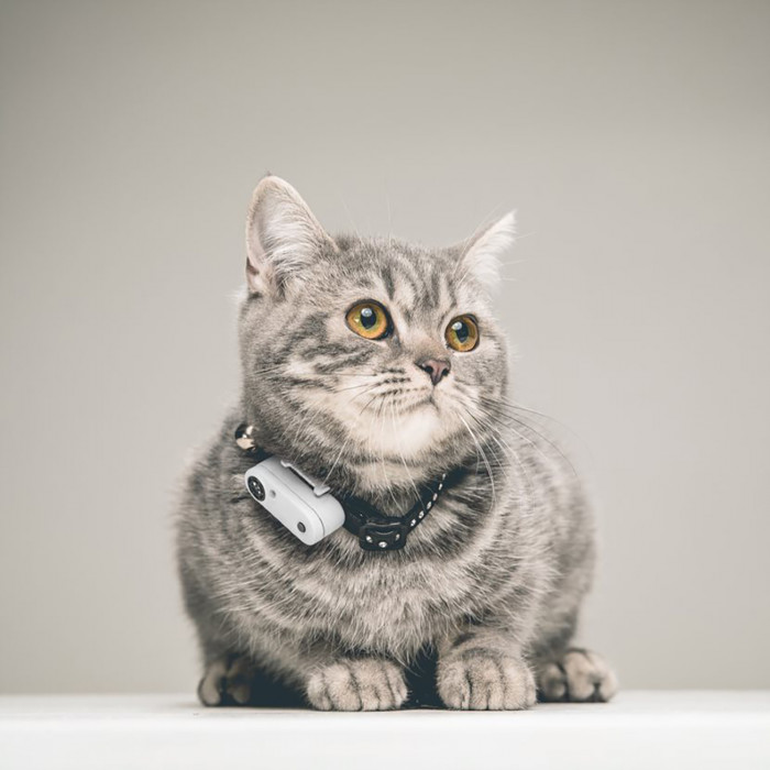 TICKLESS CAT Ultragarsinis kačių pakabukas nuo erkių ir blusų  