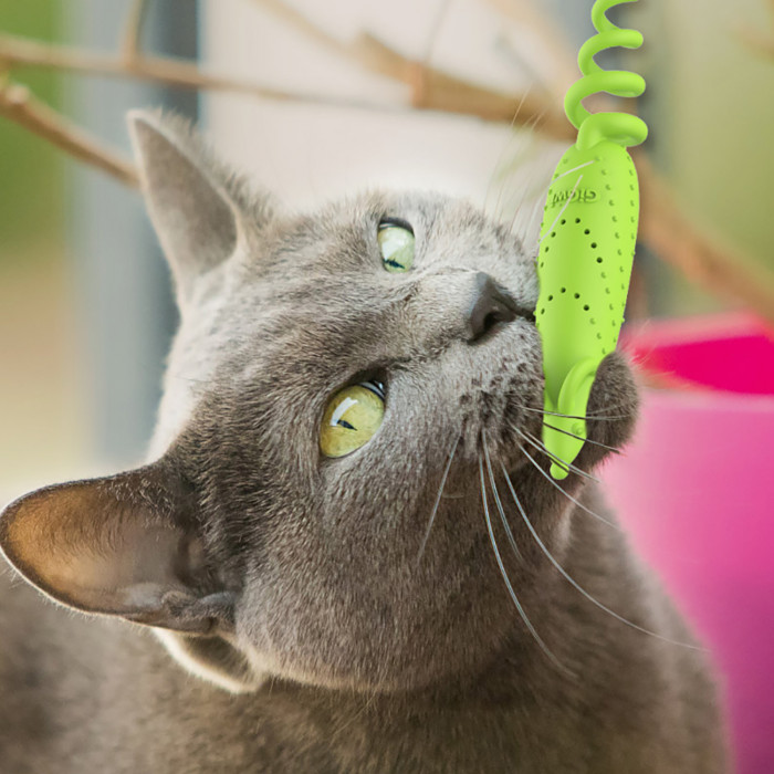 GIGWI Kačių žaislas Pelė su katžole 
