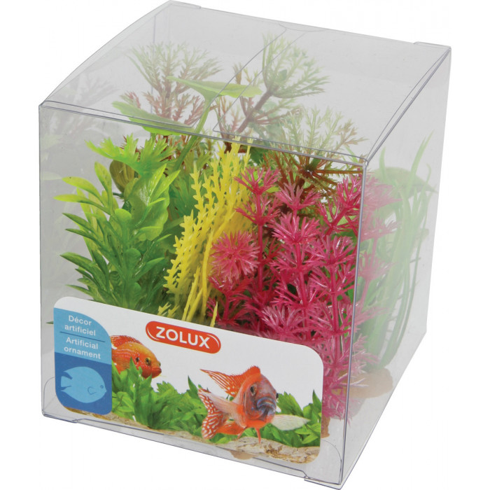 ZOLUX Akvariumų augalų rinkinys 