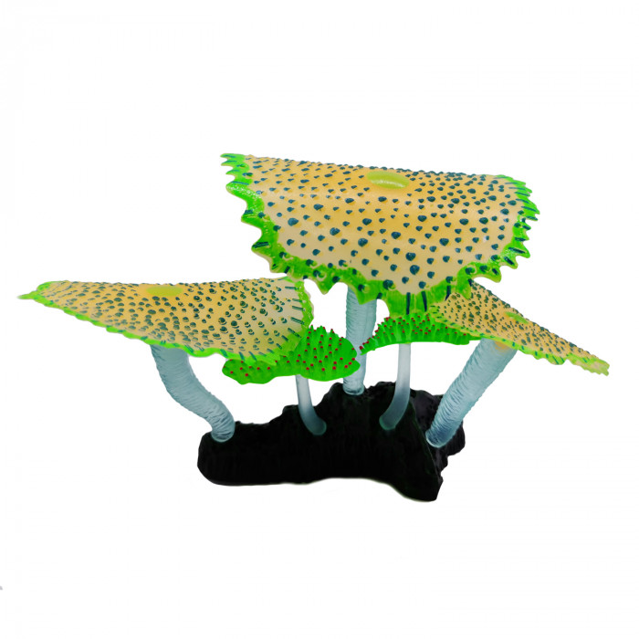 HONGQIANG Akvariumų augalas 